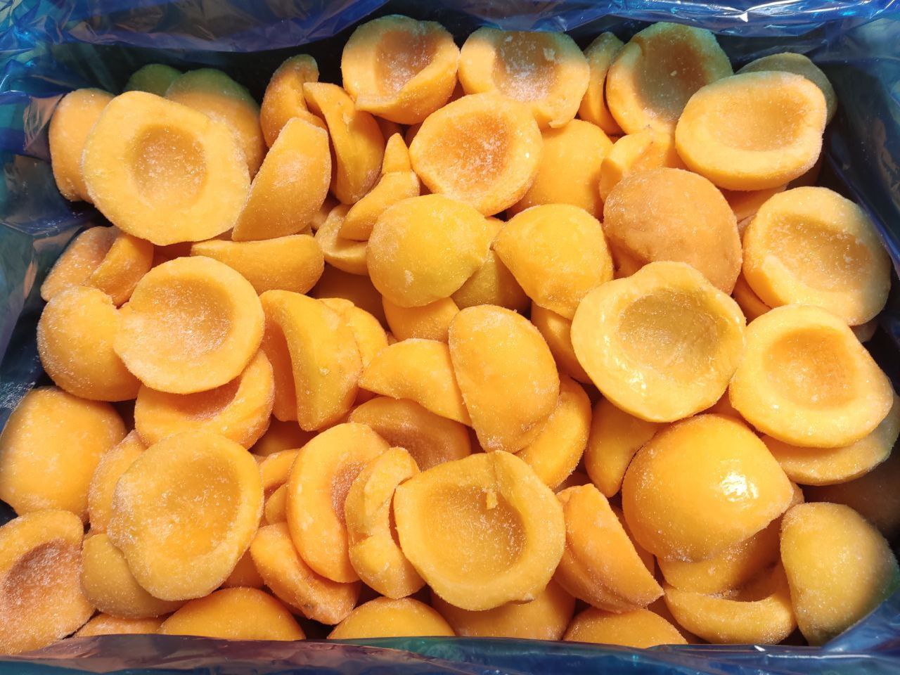 photo_2025-11-14_06-17-02