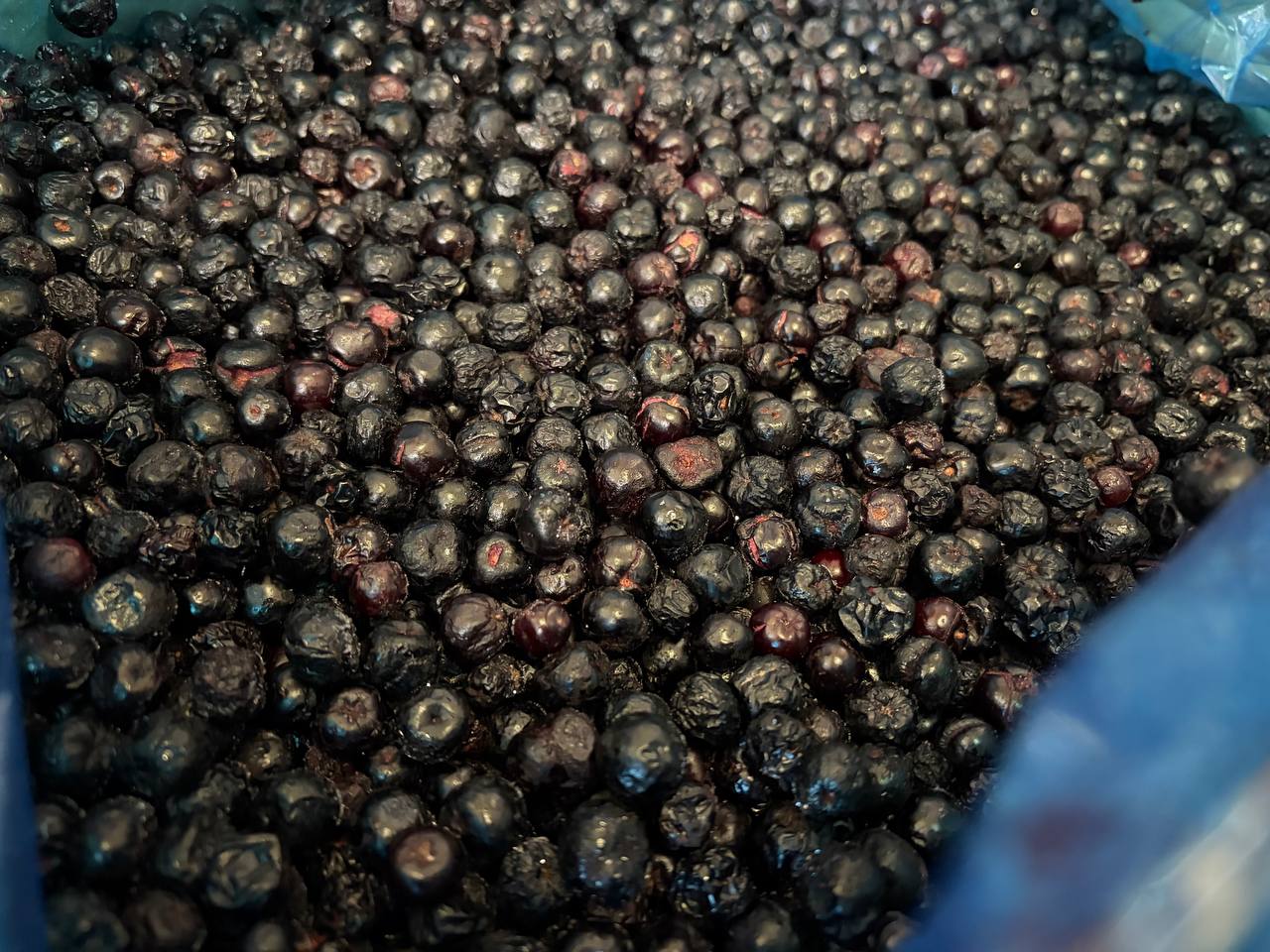 photo_2026-02-13_12-13-01