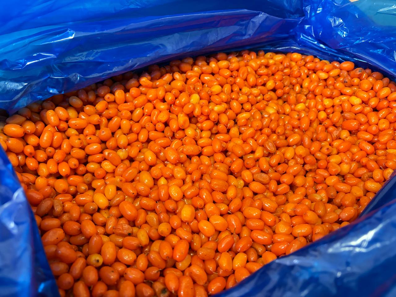 photo_2026-02-17_12-08-30