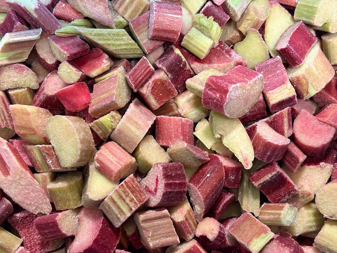 photo_2026-02-21_09-38-22