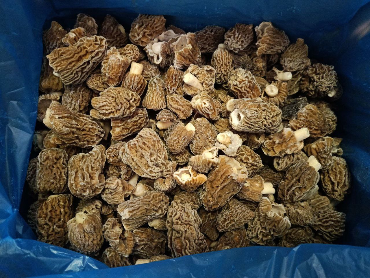 photo_2025-05-02_20-41-11