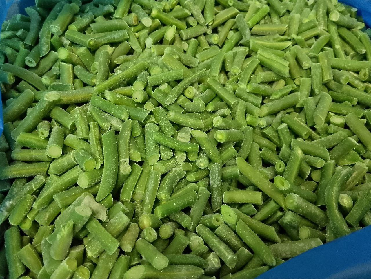 photo_2025-11-14_06-14-56