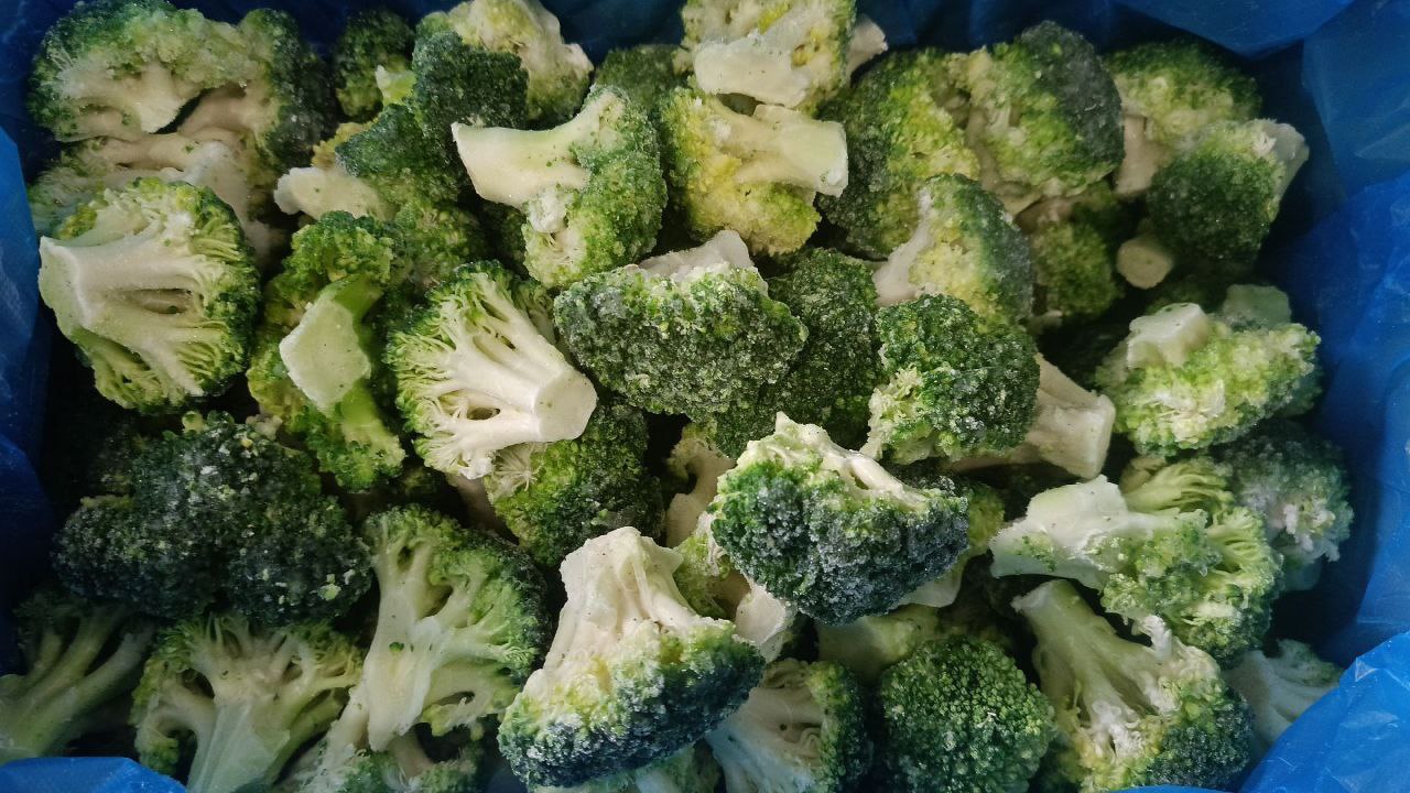 photo_2026-02-12_06-45-43