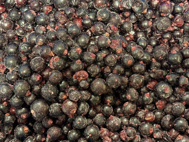 photo_2026-02-21_09-36-39